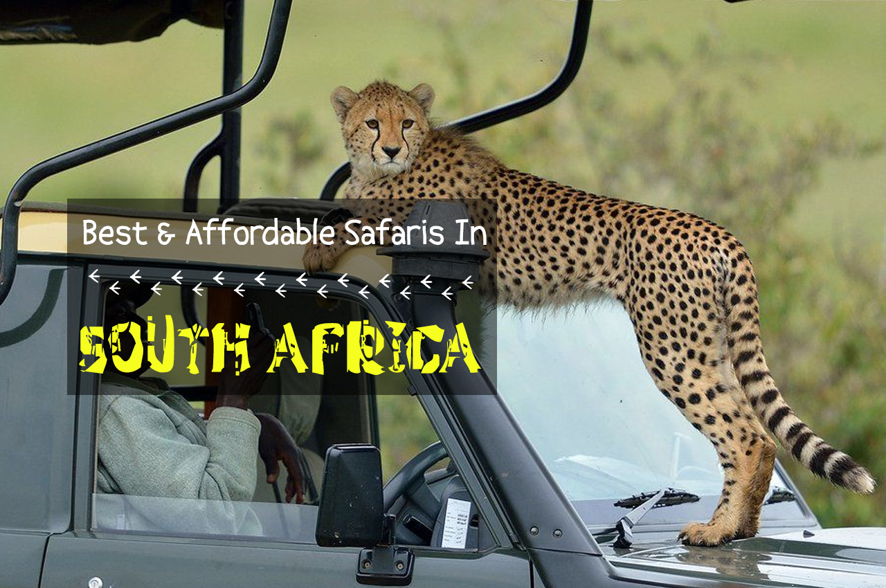 Best & Affordable Safaris in South Africa