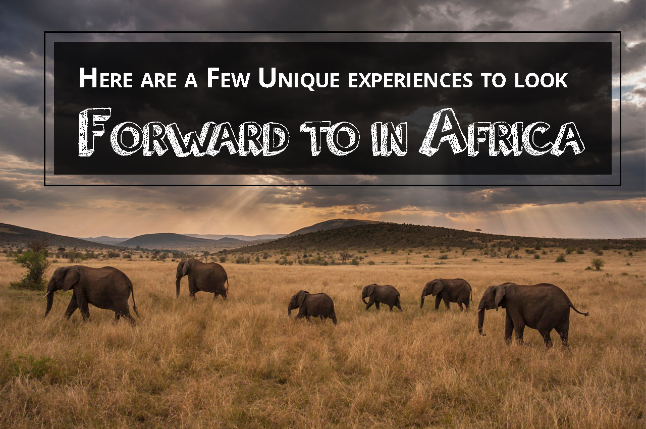 Here are a Few Unique experiences to look forward to in Africa