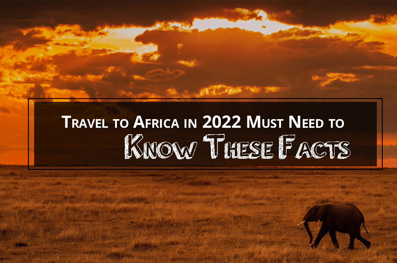 Travel to Africa in 2022 Must Need to Know These Facts