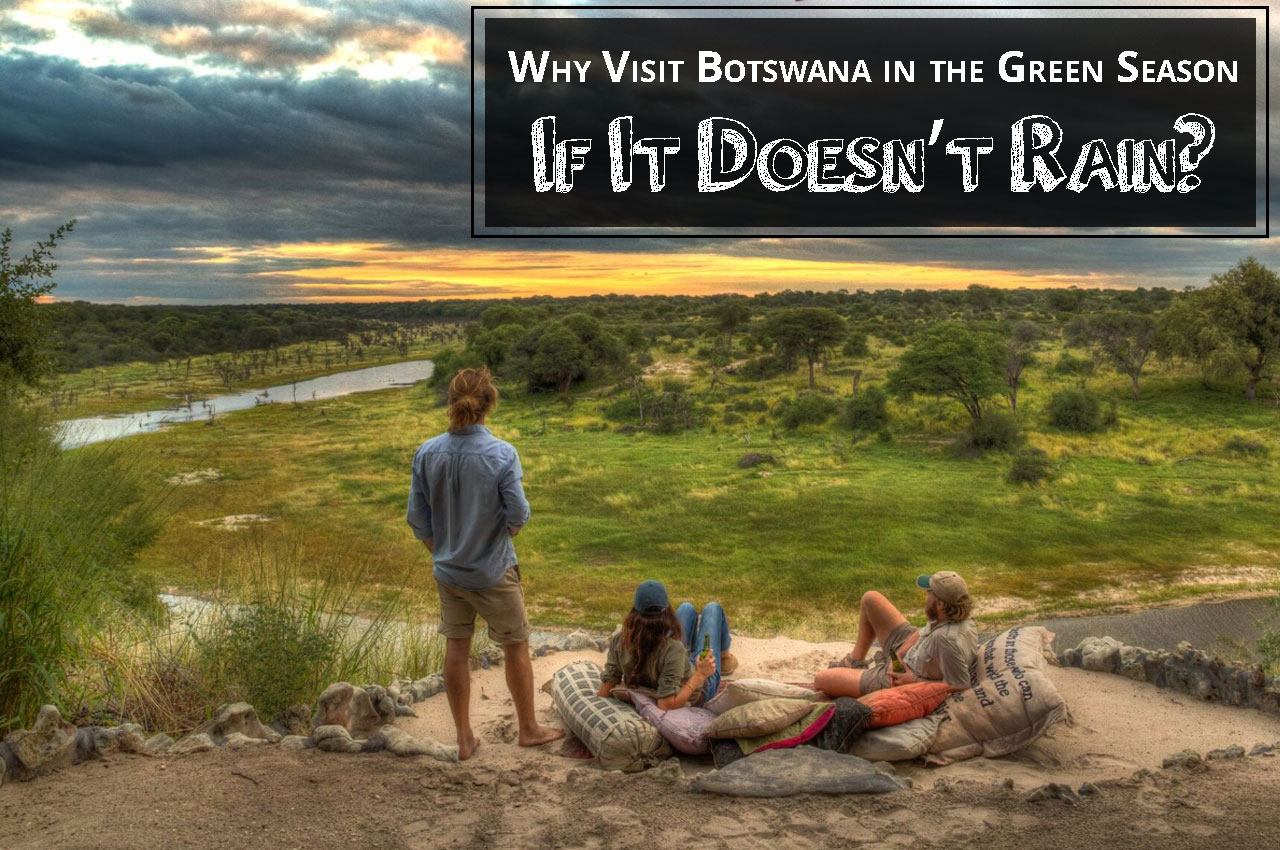 Why Visit Botswana in the Green Season If It Doesn’t Rain?